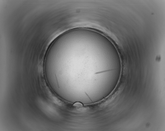 X0000101151513200807110954