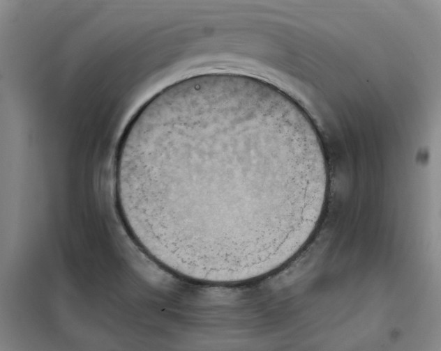 X0000101151514200807110954