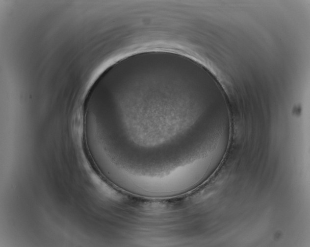 X0000101151515200807110954