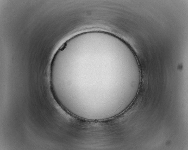 X0000101151516200807110954