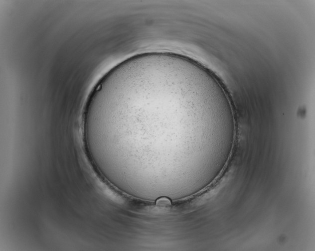 X0000101151517200807110954