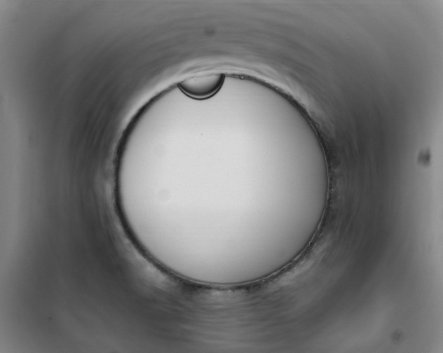 X0000101151518200807110954