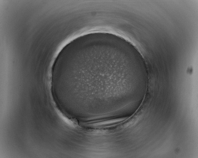 X0000101151519200807110954