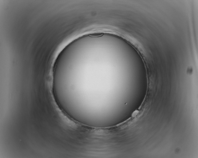 X0000101151520200807110954