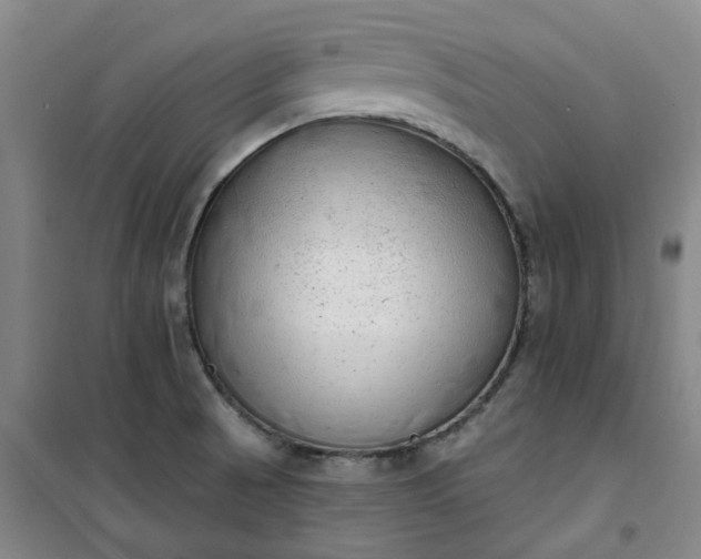 X0000101151521200807110954