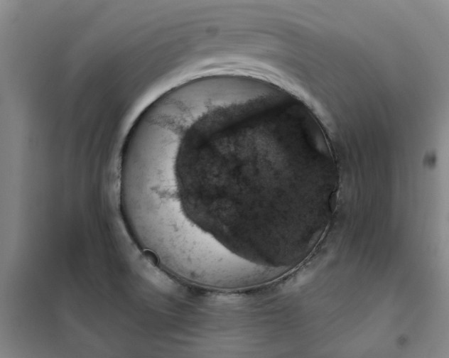 X0000101151522200807110954