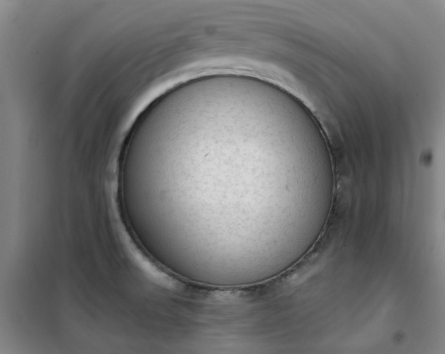 X0000101151523200807110954