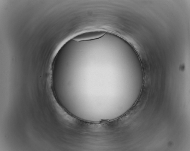 X0000101151524200807110954