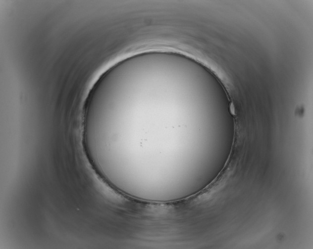 X0000101151526200807110954