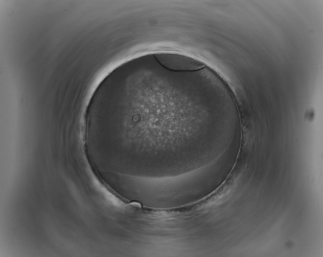 X0000101151527200807110954