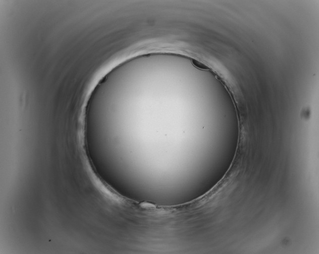 X0000101151528200807110954