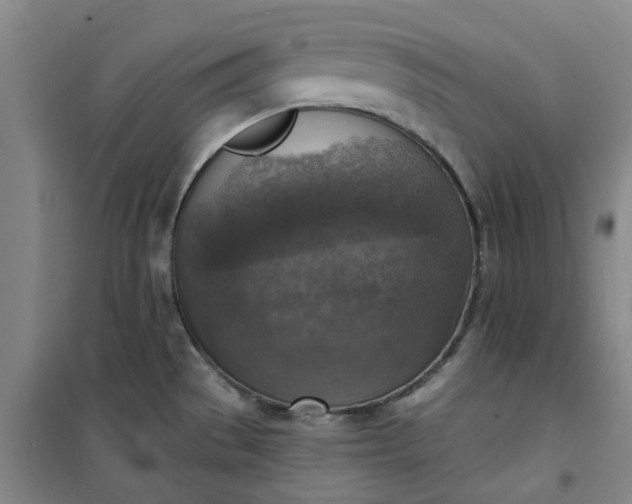 X0000101151529200807110954