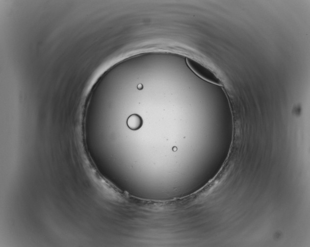 X0000101151530200807110954