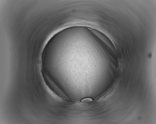 X0000101151531200807110954