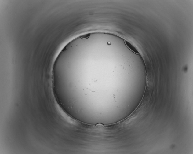 X0000101151532200807110954