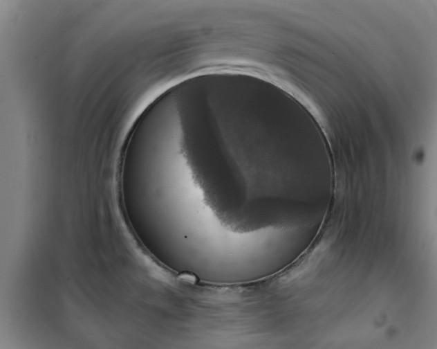 X0000101151533200807110954