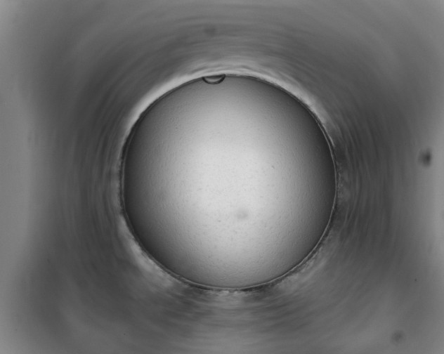 X0000101151534200807110954