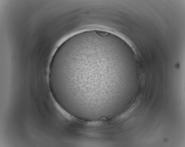 X0000101151535200807110954