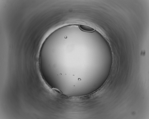 X0000101151536200807110954