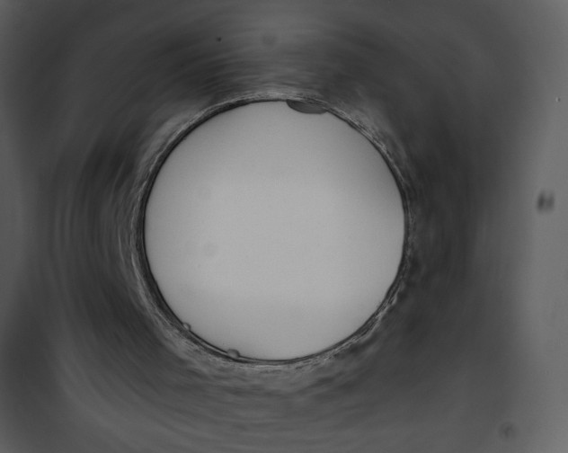 X0000101150001200807181346