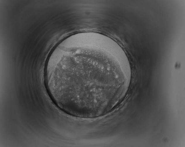 X0000101150002200807181346