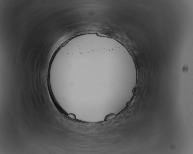 X0000101150003200807181346