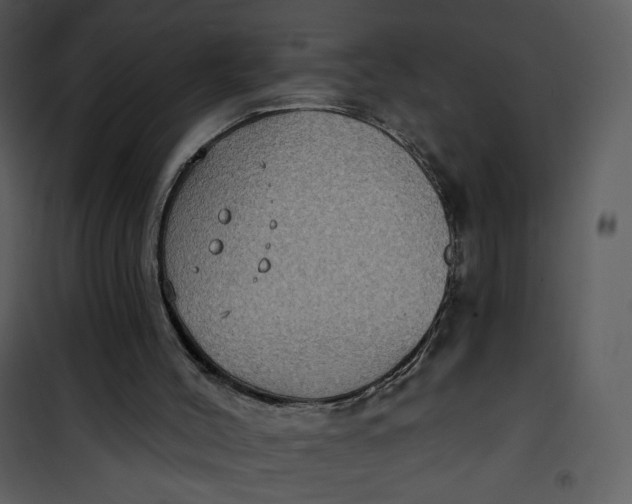 X0000101150004200807181346