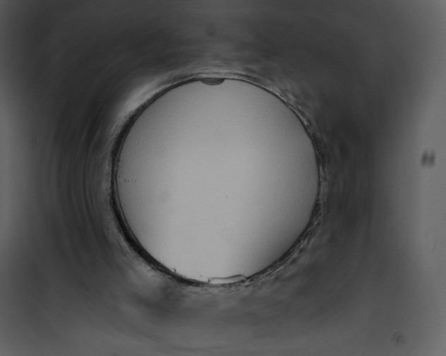 X0000101150005200807181346