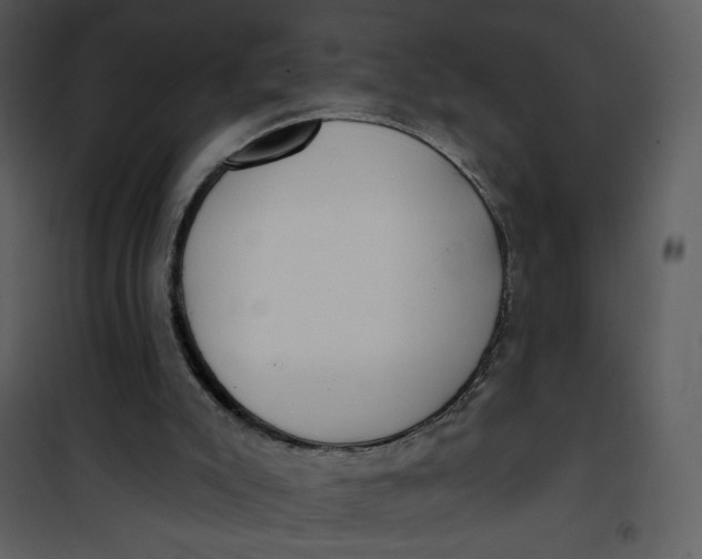 X0000101150007200807181345