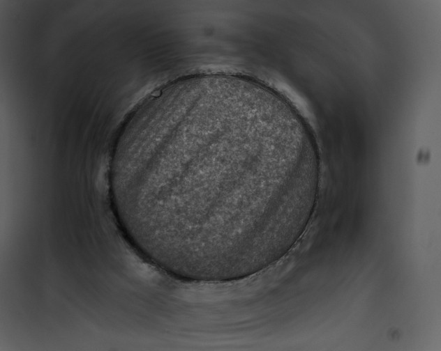 X0000101150009200807181345