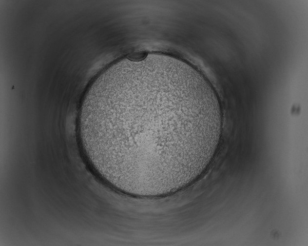 X0000101150010200807181345