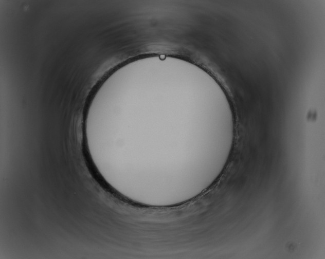 X0000101150011200807181345