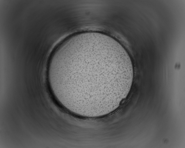 X0000101150012200807181345