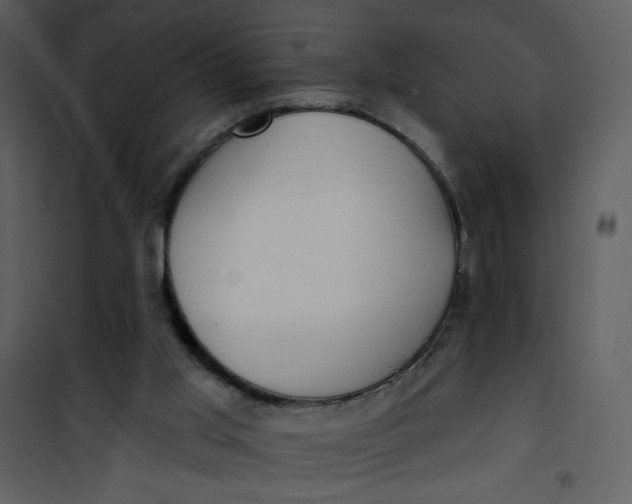 X0000101150013200807181345