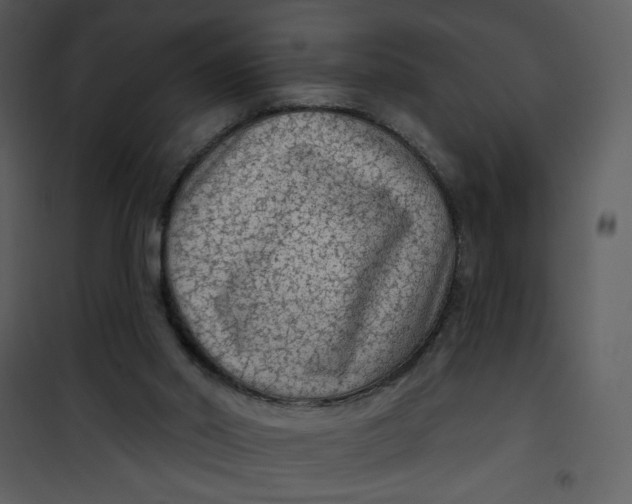 X0000101150014200807181345