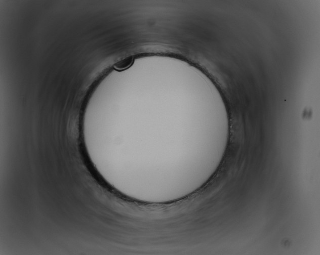 X0000101150015200807181345