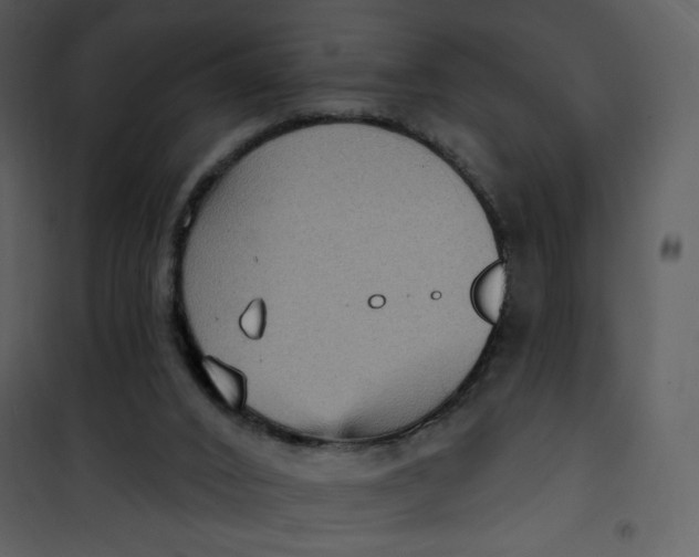 X0000101150016200807181345