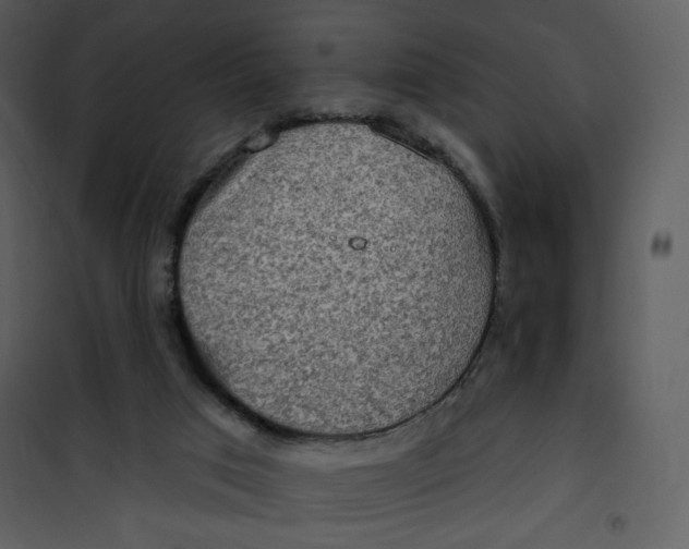 X0000101150017200807181345