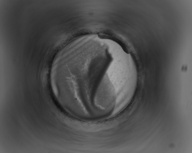 X0000101150018200807181345