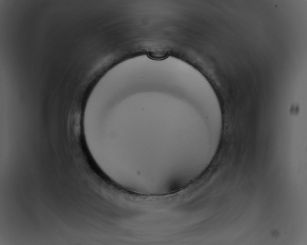 X0000101150019200807181345