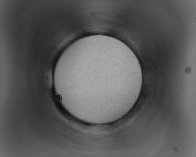 X0000101150020200807181345