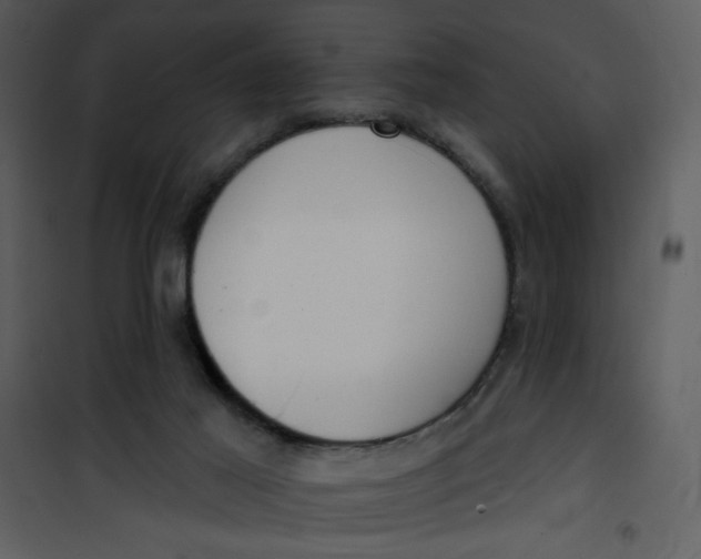 X0000101150021200807181345