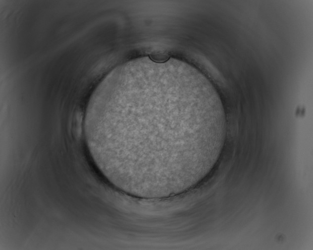 X0000101150022200807181345