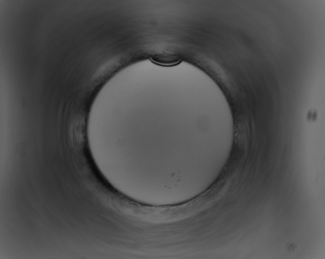 X0000101150023200807181345