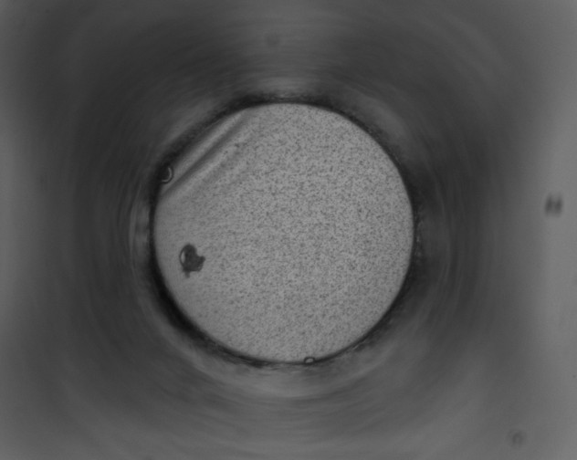 X0000101150024200807181345