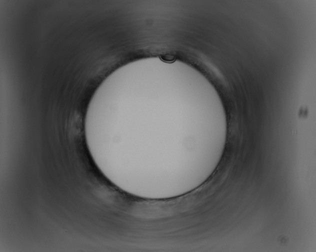 X0000101150025200807181345