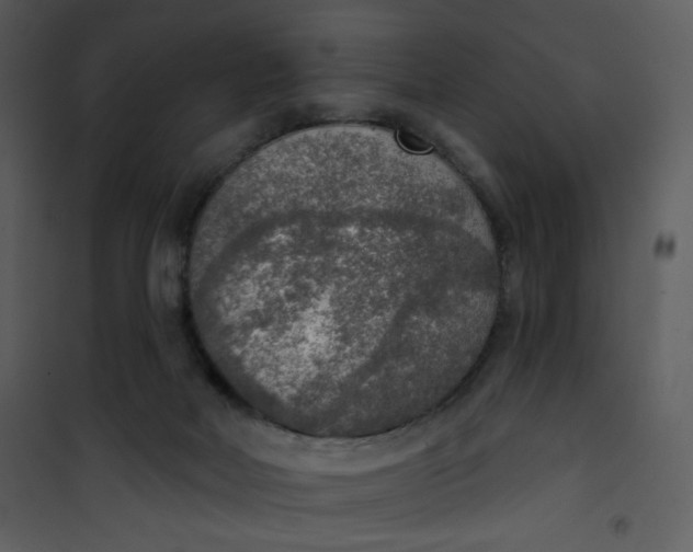 X0000101150026200807181345