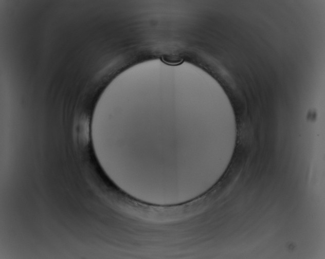 X0000101150027200807181345