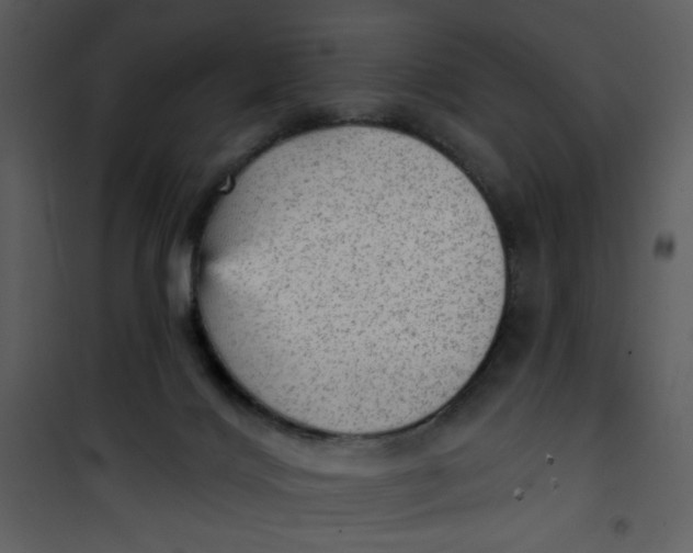 X0000101150028200807181345