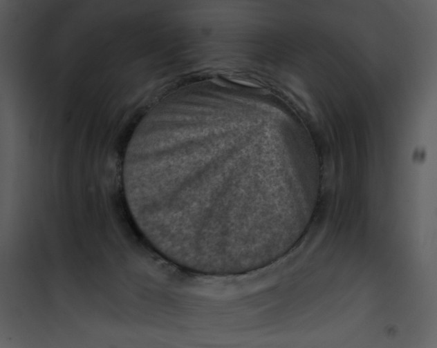 X0000101150029200807181345